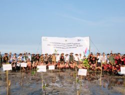 Upaya Konsisten Lestarikan Lingkungan, Kembali PLN UIP JBTB Gandeng Taman Nasional Baluran serta Komunitas Setempat Tanam Puluhan Ribu Mangrove