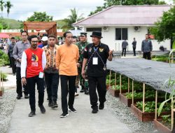 Di Papua, Presiden RI Kunjungi Desa Berdaya Taman Inspirasi Waibu, Binaan PLN