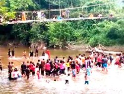 Asik Menyaksikan Tangkap Bebek, Jembatan Gantung Di Desa Mentukak Ambruk Karena Banyak Warga Di Atasnya