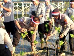 Cegah Abrasi Polisi Tanam Bibit Pohon Mangrove di Pantai Ekowisata Mangrove Lembung Pamekasan