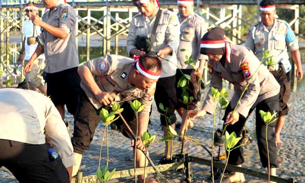 Cegah Abrasi Polisi Tanam Bibit Pohon Mangrove di Pantai Ekowisata Mangrove Lembung Pamekasan