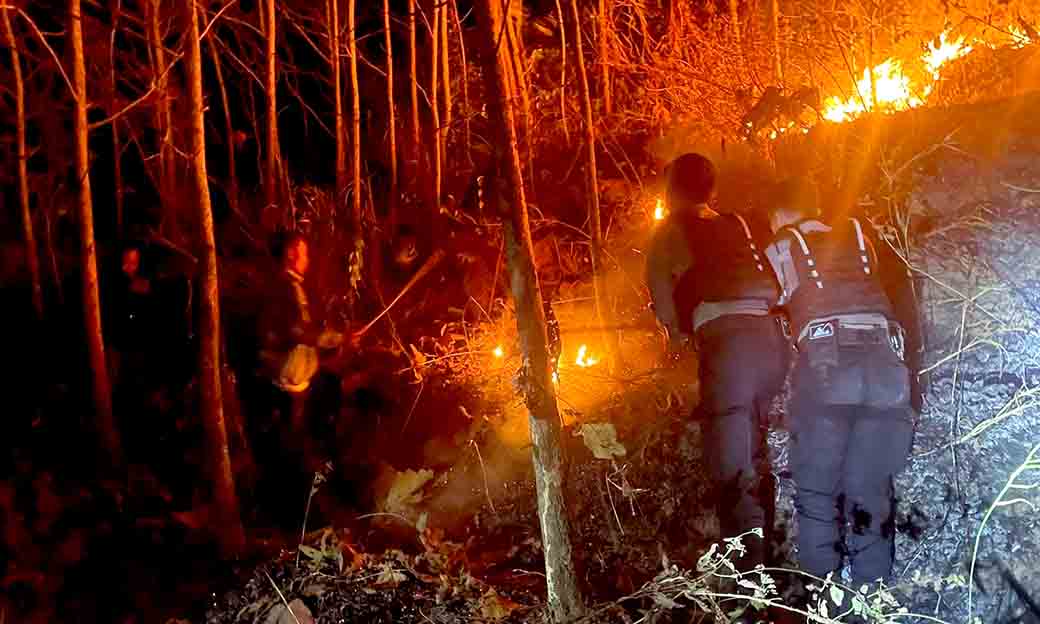 Sinergitas Polisi dan TNI Bersama Masyarakat Berhasil Padamkan Kebakaran Lahan di Magetan_2