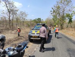 Tebang Pohon Rawan Tumbang Di Pinggir Jalan