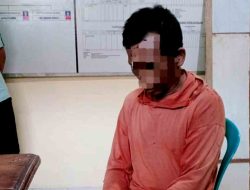 Polisi Amankan Terduga Pelaku Ilegal Logging di Bondowoso