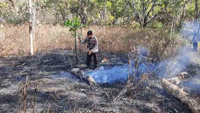 Upaya Pemadaman Kebakaran di Kawasan Lereng Gunung Klotok Kediri Dilanjutkan, Ini yang Dilakukan Polisi_1
