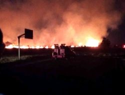 Gercep Polisi dan Petugas Damkar Berhasil Padamkan Kebakaran Lahan Alang-alang di Bandara Banyuwangi