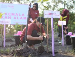 Bhayangkari Peduli, Ketua Umum Bhayangkari Melepas 700 Tukik danTanam Mangrove di Pantai Cemara Banyuwangi