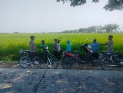 Polisi di Ngawi Blusukan Ke Sawah, Larang Pakai Jebakan Tikus Berbahaya