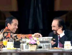 Jokowi Tunjuk Kepala Badan Pangan Nasional Jadi Plt Menteri Pertanian_3