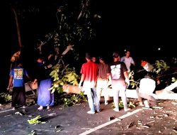 Pohon Tumbang Menutup Jalan, Akibatkan Kemacetan Panjang