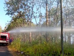 Polisi dan Petugas Gabungan Berhasil Padamkan Kebakaran Hutan Jati di Kabupaten Malang