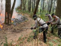 Sinergitas Polres Ngawi Bersama TNI dan Pemkab Upaya Padamkan Api di Lereng Gunung Lawu