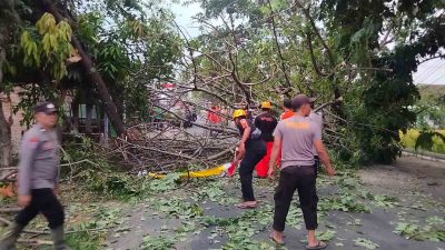 Gercep Polisi Bersama Warga Tangani Pohon Tumbang 1