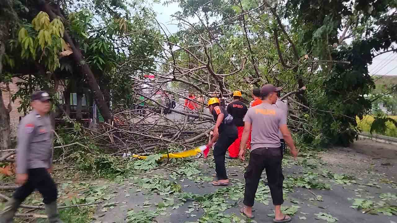 Gercep polisi bersama warga tangani pohon tumbang 1