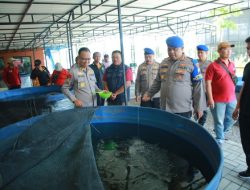 Dukung Ketahanan Pangan Ditpolairud Polda Jatim Beri Bantuan Ribuan Bibit Ikan Lele