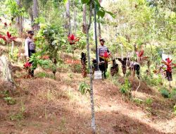 Lestarikan Hutan Polres Tulungagung Tanam Pohon di D Capin