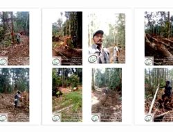 Mabes Polri Akan Segera Usut Dugaan Kejahatan Illegal Logging PT CSS Di Kalimantan Tengah