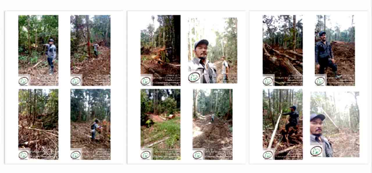 Mabes Polri Akan Segera Usut Dugaan Kejahatan Illegal Logging Pt Css Di Kalimantan Tengah