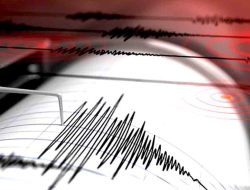 Maluku Tenggara Barat Diguncang Gempa M 4,3