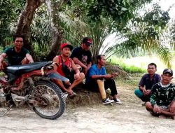 Masyarakat Keluhkan Sulitnya Sinyal 4G Telkomsel, Pemdes Bumi Kencana Minta Pihak Terkait Untuk Merespon