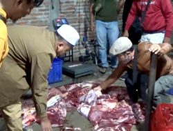 Polres Magetan Berhasil Ungkap Daging Sapi Gelonggongan, Terduga Pelaku Diamankan