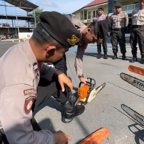 Img 20231212 Wa0024 Copy 295x295