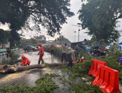 Gercep Polisi Kota Kediri Bersama BPBD Evakuasi Pohon Tumbang di 4 Lokasi