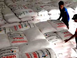 Tahun Anggaran 2024, Kuota Bantuan Pupuk Subsidi Provinsi Sulawesi Selatan 417,637 Ton Dengan Ketentuan HET