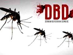 Waspada di Musim Hujan! Demam Berdarah Menghantui
