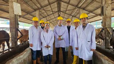 Arie Triyono (paling Kiri) Di Lokasi Peternakan