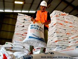 Bulog Optimistis Harga Beras akan Turun Seiring Membaiknya Pasokan