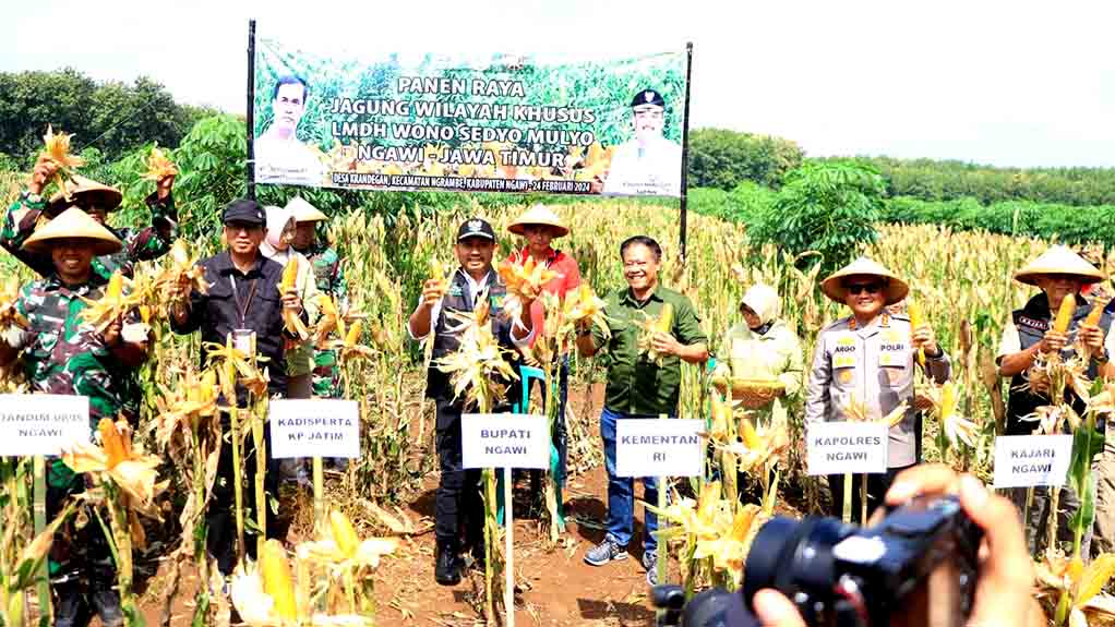 Bupati Ngawi Bersama Forkopimda Panen Raya Jagung Di Kawasan Hutan Ngrambe