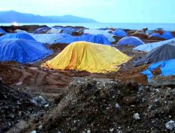 China dan Indonesia Harus Pangkas Produksi Nikel Jika Ingin Katrol Harga