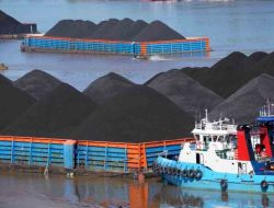 Kalah Saing dengan Barat, Indonesia dan Afrika Selatan akan Tingkatkan Pangsa Pasar Batu Bara di India