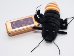 Punya Mantan yang Mengganggu? Anda Bisa Memberi Nama Kecoak Sesuai Nama Mantan pada Hari Kasih Sayang