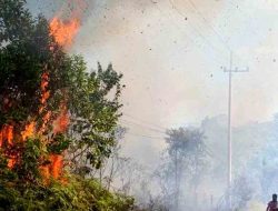 Sekitar Satu Hektare Lahan di Pantai Amal Tarakan Terbakar, Telan 7 Ton Air Untuk Pemadaman