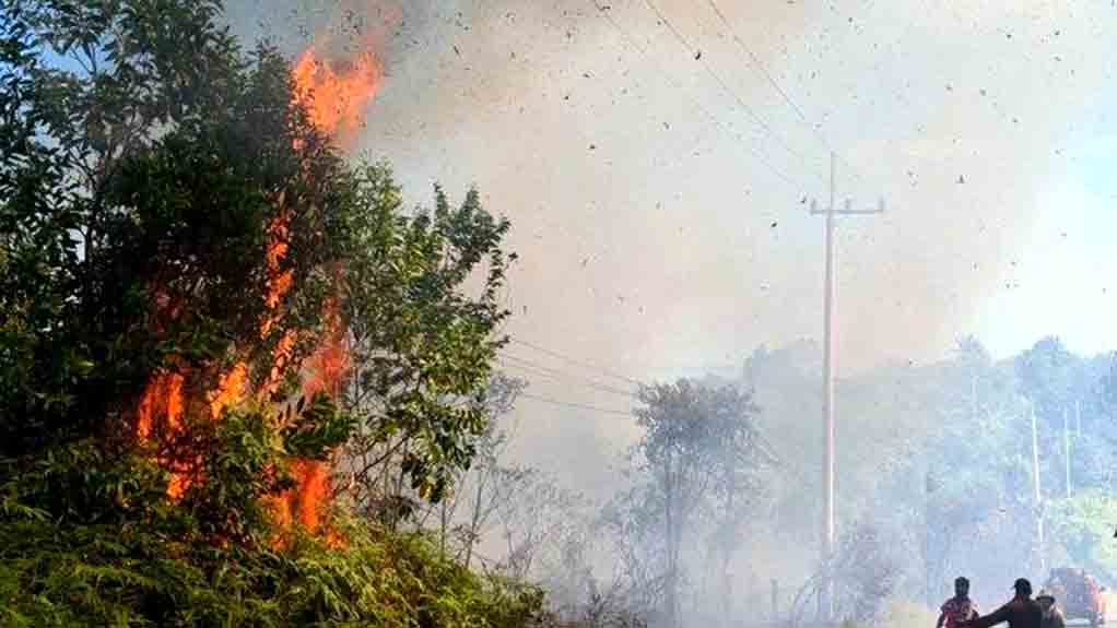 Sekitar Satu Hektare Lahan Di Pantai Amal Tarakan Terbakar, Telan 7 Ton Air Untuk Pemadaman 2