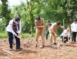 Wamentan Tanam Jagung di Lamongan, Siapkan Keadulatan Pangan