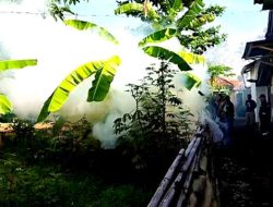 Warga Diimbau Waspada DBD di Musim Hujan Tiba