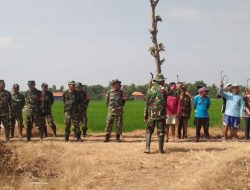 Apel Pagi Satgas TMMD dan Warga, Danramil Comal Sampaikan Beberapa Informasi