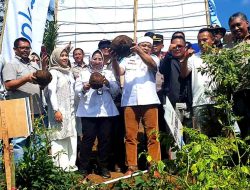 Porang Sebagai Terobosan Inovatif untuk Ketahanan Pangan dan Pertumbuhan Ekonomi