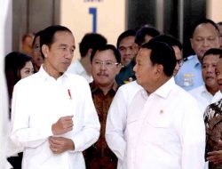 Guru Besar UGM: Sebetulnya Kita yang Salah, Terlalu Melambungkan Jokowi