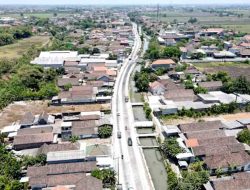 Tanah Di Kabupaten Sidoarjo Harganya Meroket, Imbas Masifnya Proyek Betonisasi