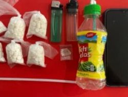 Lakukan Pengembangan Kasus, Polres Kediri Ringkus Pengedar Pil LL