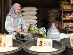 Krisis Beras di Negeri Penikmat Nasi