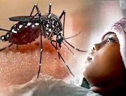 Di Kabupaten Nunukan Dua Pasien DBD Meninggal Dunia