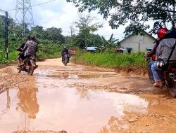 Jalan Berlobang dan Berlumpur Seperti Kubangan Hewan, Tempat Mandi Kerbau