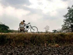 BMKG: 19% Zona Musim Masuki Musim Kemarau, Operasi Modifikasi Cuaca Dimulai