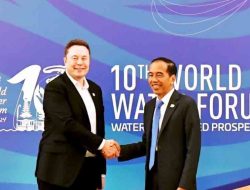 Elon Musk Umbar Janji Investasi Jangka Panjang ke Jokowi