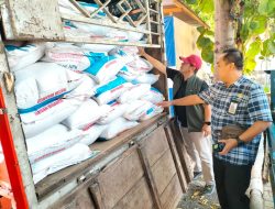 Polres Situbondo Amankan 3 Orang Diduga Selundupkan 8,9 Ton Pupuk Bersubsidi Tujuan Jawa Tengah